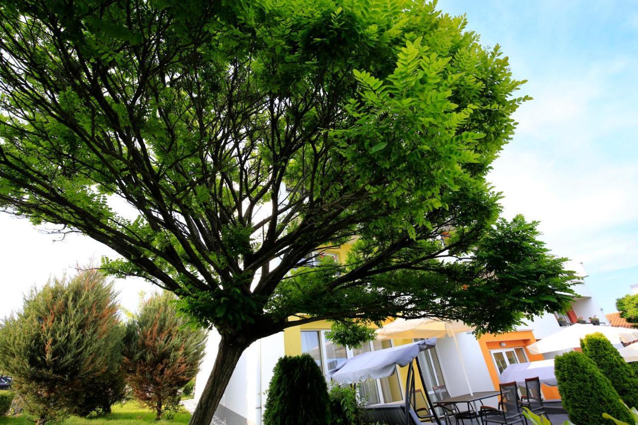 Stayinn Rainbow Houses Beachfront By Asteri Hotels ซันนีบีช ภายนอก รูปภาพ